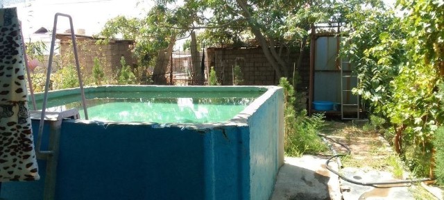 Ташкентская область, Алмалык