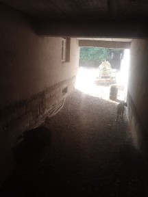 Ташкентская область, Ташкент, Бектемирский район