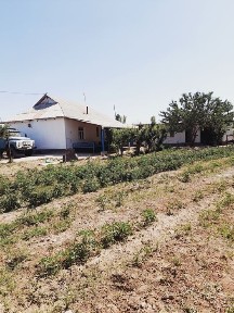 Сырдарьинская область, Cырдарья