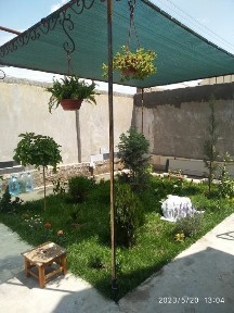 Ташкентская область, Янгибазар