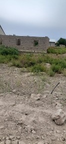 Каракалпакстан, Беруни