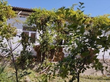 Бухарская область, Ромитан