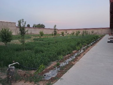 Ташкентская область, Кибрай