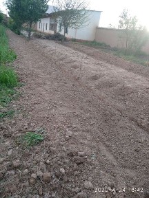 Кашкадарьинская область, Камаши