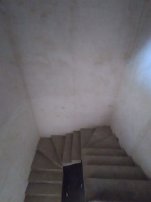 Ташкентская область, Назарбек