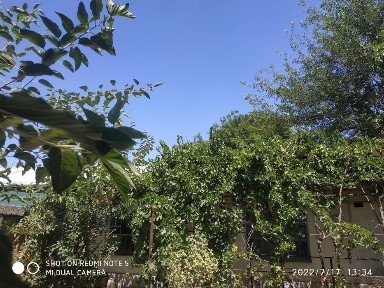 Ташкентская область, Ташкент, Чиланзарский район