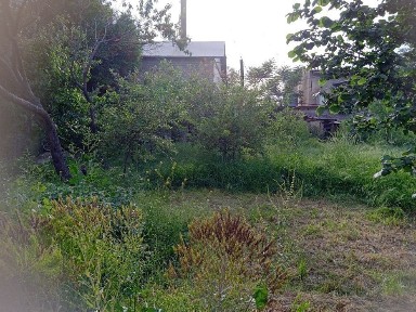 Ташкентская область, Янгибазар