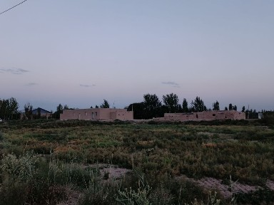 Каракалпакстан, Бустан