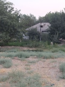 Ташкентская область, Чиназ