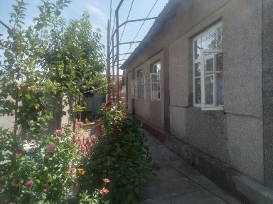 Сырдарьинская область, Сырдарья