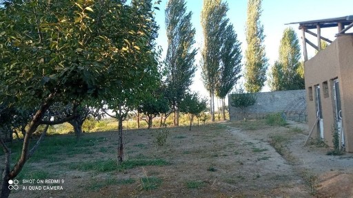 Ташкентская область, Ташкент, Мирабадский район