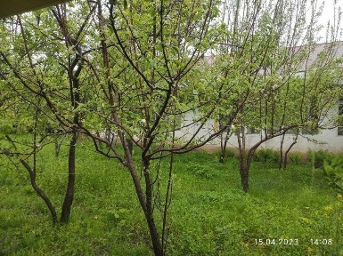 Ташкентская область, Чарвак