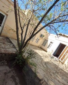 Бухарская область, Бухара