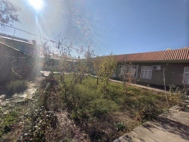 Ташкентская область, Ташкент, Бектемирский район