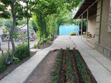 Ховли уй сотилади. Газалкент шахри.