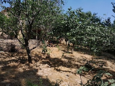 Ташкентская область, Cукок