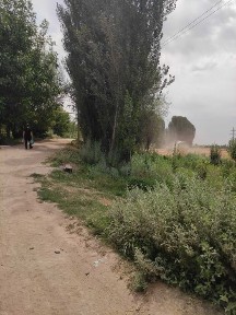 Ташкентская область, Уртааул