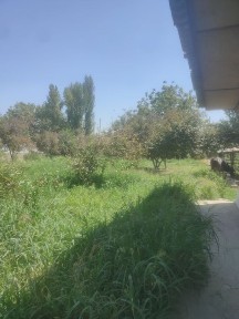 Ташкентская область, Уртааул