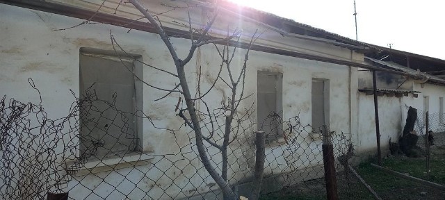 Ташкентская область, Чиназ