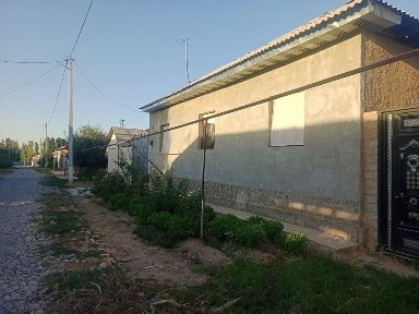 Ташкентская область, Янгиюль