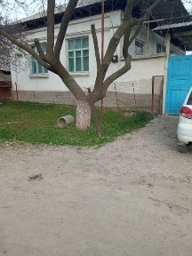 Ташкентская область, Нурафшан (Тойтепа)