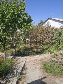 Навоийская область, Навои