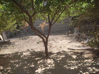 Ташкентская область, Ташкент, Шайхантахурский район