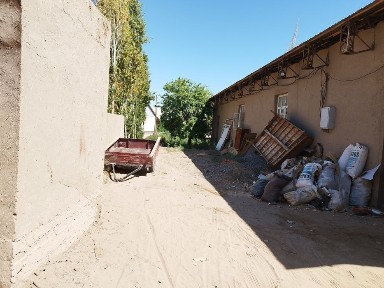 Каракалпакстан, Беруни