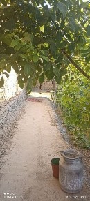 Джизакская область, Учтепа