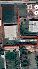 Хорезмская область, Шават