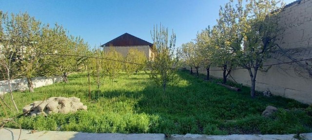 Самаркандская область, Самарканд