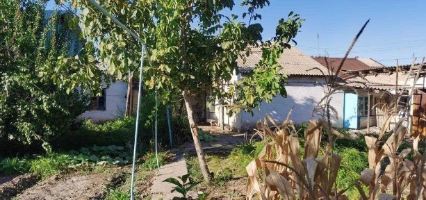 Ташкентская область, Чиназ