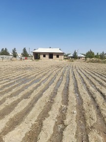 Самаркандская область, Булунгур