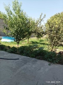 Ташкентская область, Коксарай