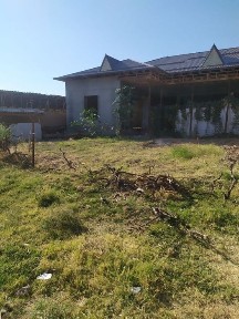 Ташкентская область, Паркент