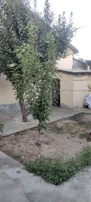 Ташкентская область, Ташкент, Яшнабадский район