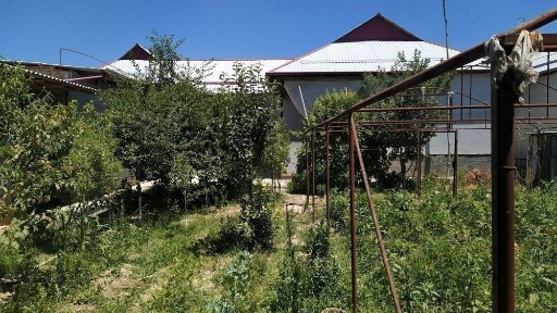 Сырдарьинская область, Гулистан