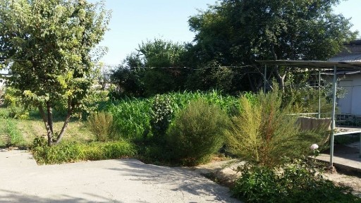 Ташкентская область, Эшангузар