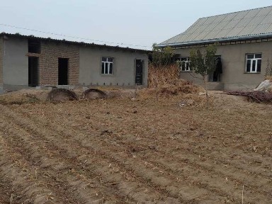 Сурхандарьинская область, Ангор