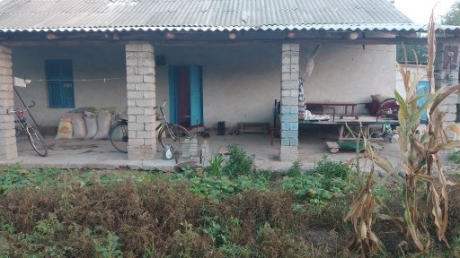 Ташкентская область, Бука