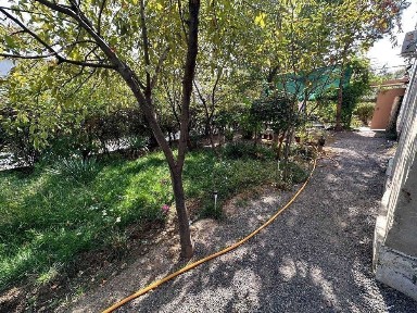 Ташкентская область, Ташкент, Мирабадский район