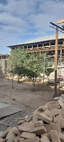 Ташкентская область, Ташкент, Сергелийский район