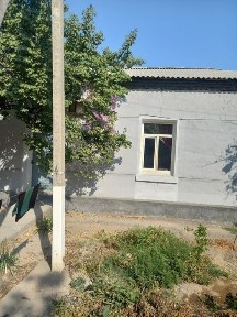 Сырдарьинская область, Янгиер