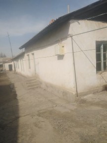 Ташкентская область, Янгибазар