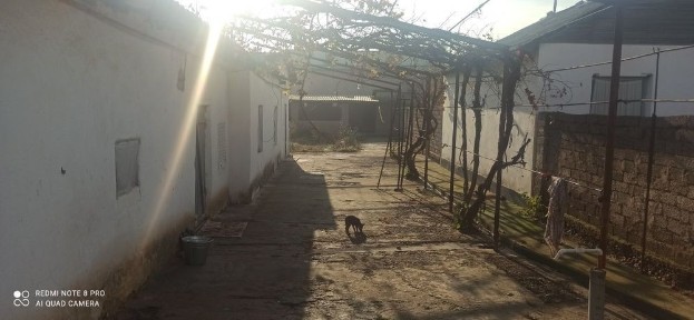 Ташкентская область, Нурафшан (Тойтепа)