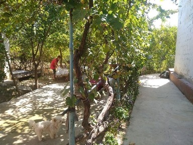 Ташкентская область, Назарбек