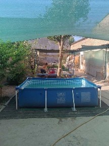 Ташкентская область, Ташкент, Алмазарский район