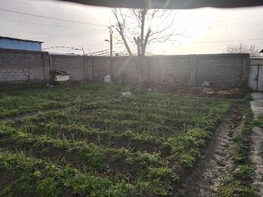 Продажа дача корасув Uzbankinty