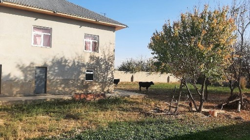 Самаркандская область, Акташ