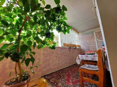 Самаркандская область, Самарканд